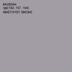 #A29DA4 - Amethyst Smoke Color Image