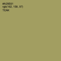 #A29E61 - Teak Color Image