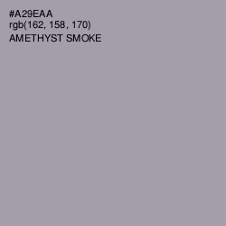 #A29EAA - Amethyst Smoke Color Image