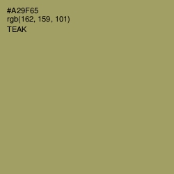 #A29F65 - Teak Color Image