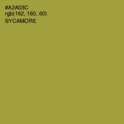 #A2A03C - Sycamore Color Image