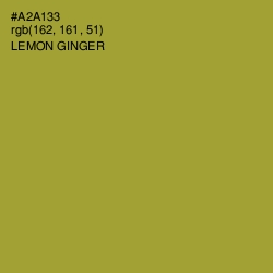 #A2A133 - Lemon Ginger Color Image