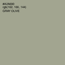 #A2A690 - Gray Olive Color Image