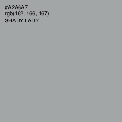 #A2A6A7 - Shady Lady Color Image