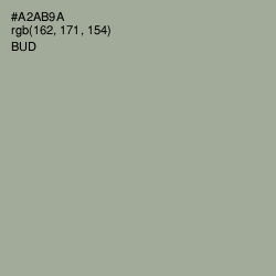 #A2AB9A - Bud Color Image