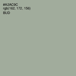 #A2AC9C - Bud Color Image