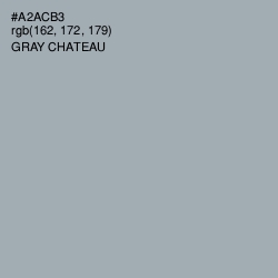 #A2ACB3 - Gray Chateau Color Image