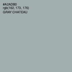 #A2ADB0 - Gray Chateau Color Image