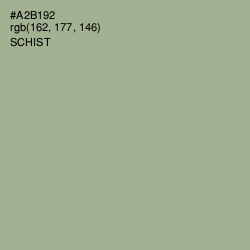 #A2B192 - Schist Color Image