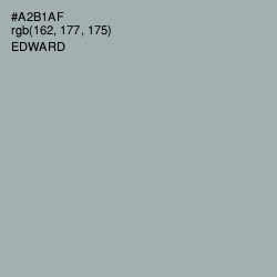 #A2B1AF - Edward Color Image