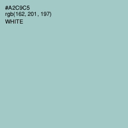 #A2C9C5 - Opal Color Image