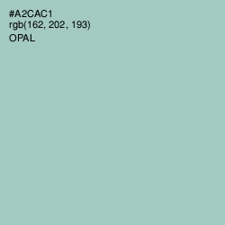 #A2CAC1 - Opal Color Image