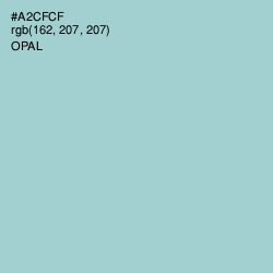 #A2CFCF - Opal Color Image