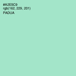 #A2E5C9 - Padua Color Image