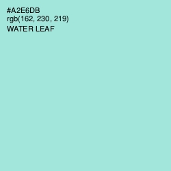 #A2E6DB - Water Leaf Color Image