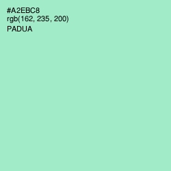 #A2EBC8 - Padua Color Image