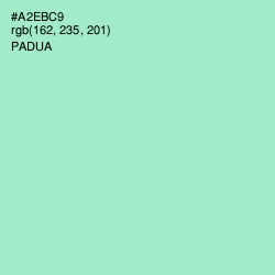 #A2EBC9 - Padua Color Image