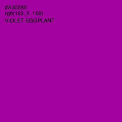 #A302A0 - Violet Eggplant Color Image