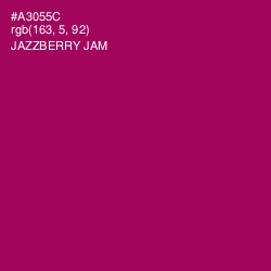 #A3055C - Jazzberry Jam Color Image