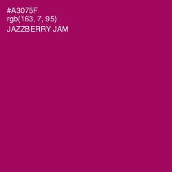 #A3075F - Jazzberry Jam Color Image