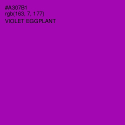 #A307B1 - Violet Eggplant Color Image