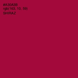 #A30A3B - Shiraz Color Image