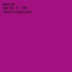 #A31181 - Violet Eggplant Color Image