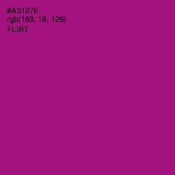 #A3127E - Flirt Color Image