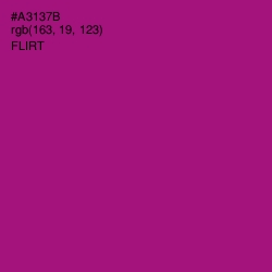 #A3137B - Flirt Color Image