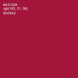 #A3153A - Shiraz Color Image