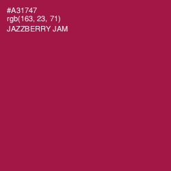 #A31747 - Jazzberry Jam Color Image