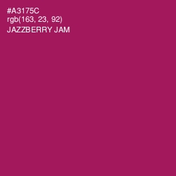 #A3175C - Jazzberry Jam Color Image