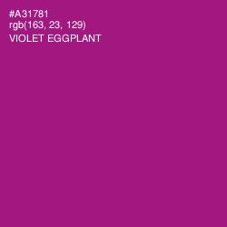 #A31781 - Violet Eggplant Color Image