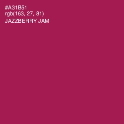 #A31B51 - Jazzberry Jam Color Image