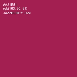 #A31E51 - Jazzberry Jam Color Image