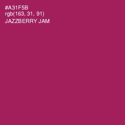 #A31F5B - Jazzberry Jam Color Image