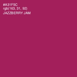 #A31F5C - Jazzberry Jam Color Image