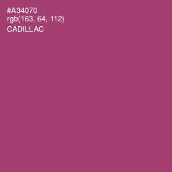 #A34070 - Cadillac Color Image