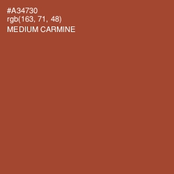 #A34730 - Medium Carmine Color Image