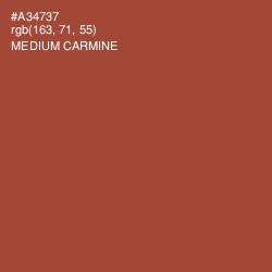 #A34737 - Medium Carmine Color Image