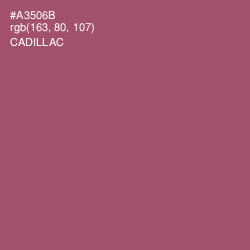 #A3506B - Cadillac Color Image