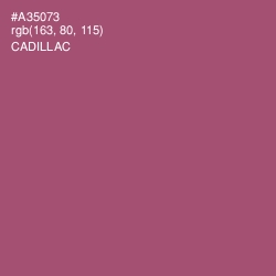 #A35073 - Cadillac Color Image