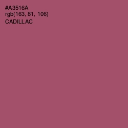 #A3516A - Cadillac Color Image