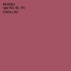 #A35361 - Cadillac Color Image