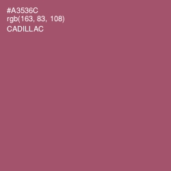 #A3536C - Cadillac Color Image