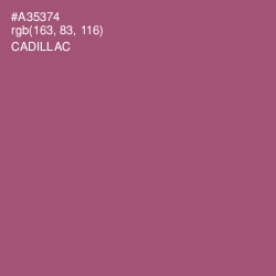 #A35374 - Cadillac Color Image