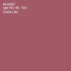 #A35967 - Cadillac Color Image