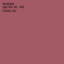 #A35A64 - Cadillac Color Image