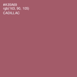 #A35A69 - Cadillac Color Image