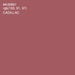 #A35B61 - Cadillac Color Image